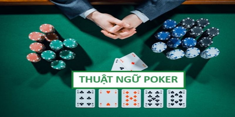 Hiểu những kiến thức về ký tự của game - các thuật ngữ trong poker