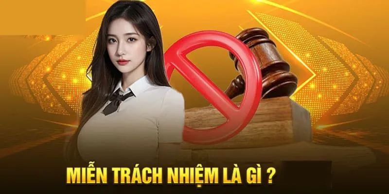 Định nghĩa về cách hiểu của miễn trừ trách nhiệm 